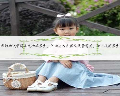 河南省妇幼试管婴儿成功率多少，河南省人民医院试管费用，做一次要多少钱？