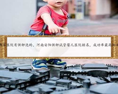 河南省哪家医院有供卵泡的，河南安阳供卵试管婴儿医院排名，成功率最高的是
